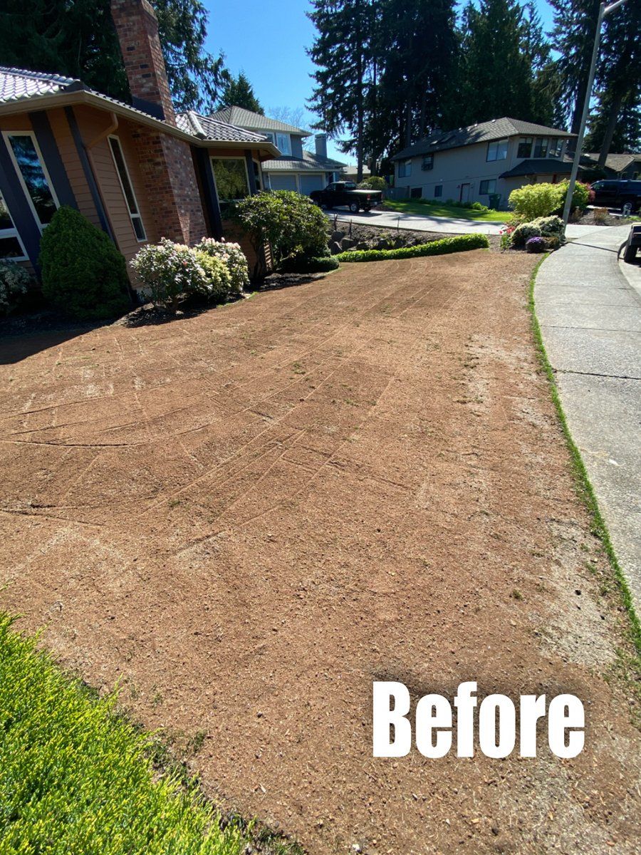 A before picture of a lawn in front of a house.