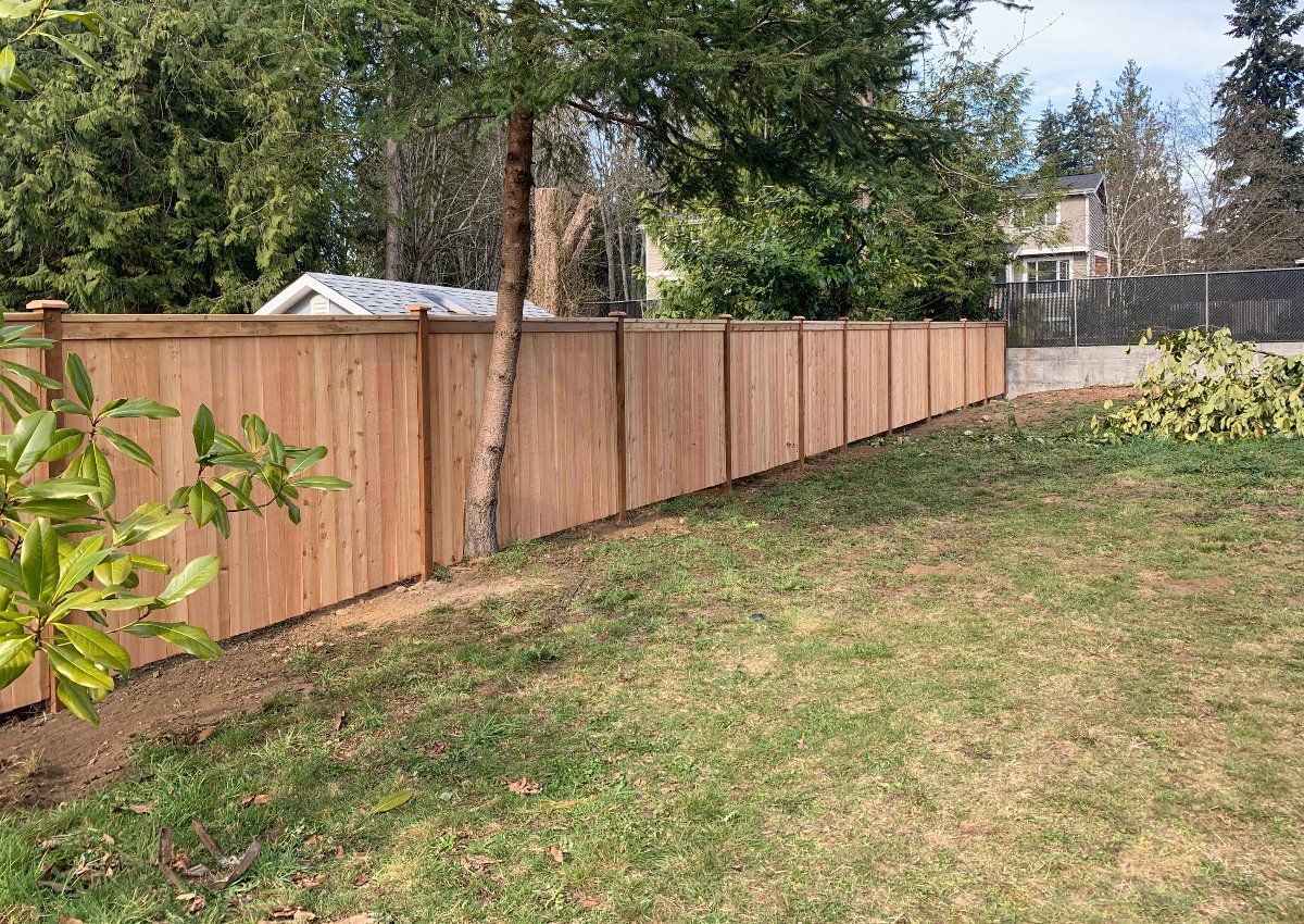 A wooden fence surrounds a lush green yard.