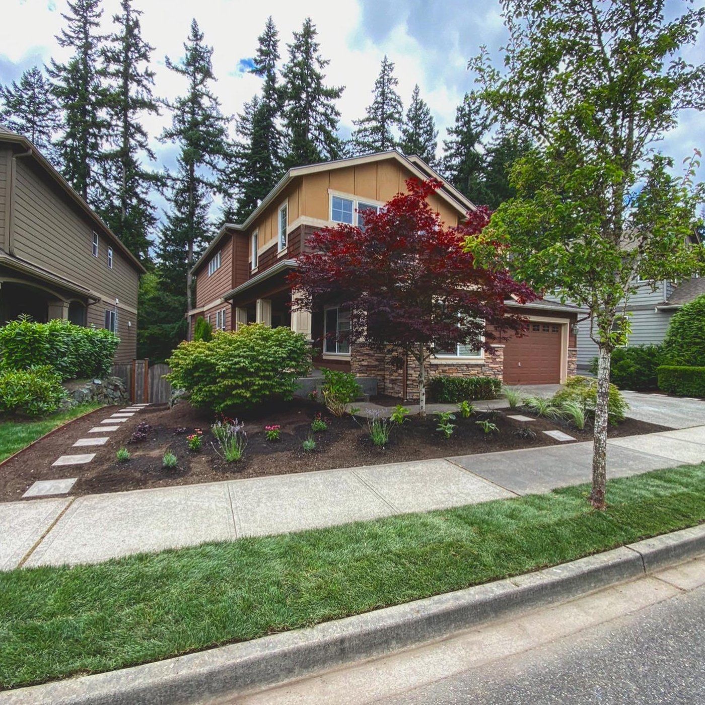 A house with a red tree in front of it