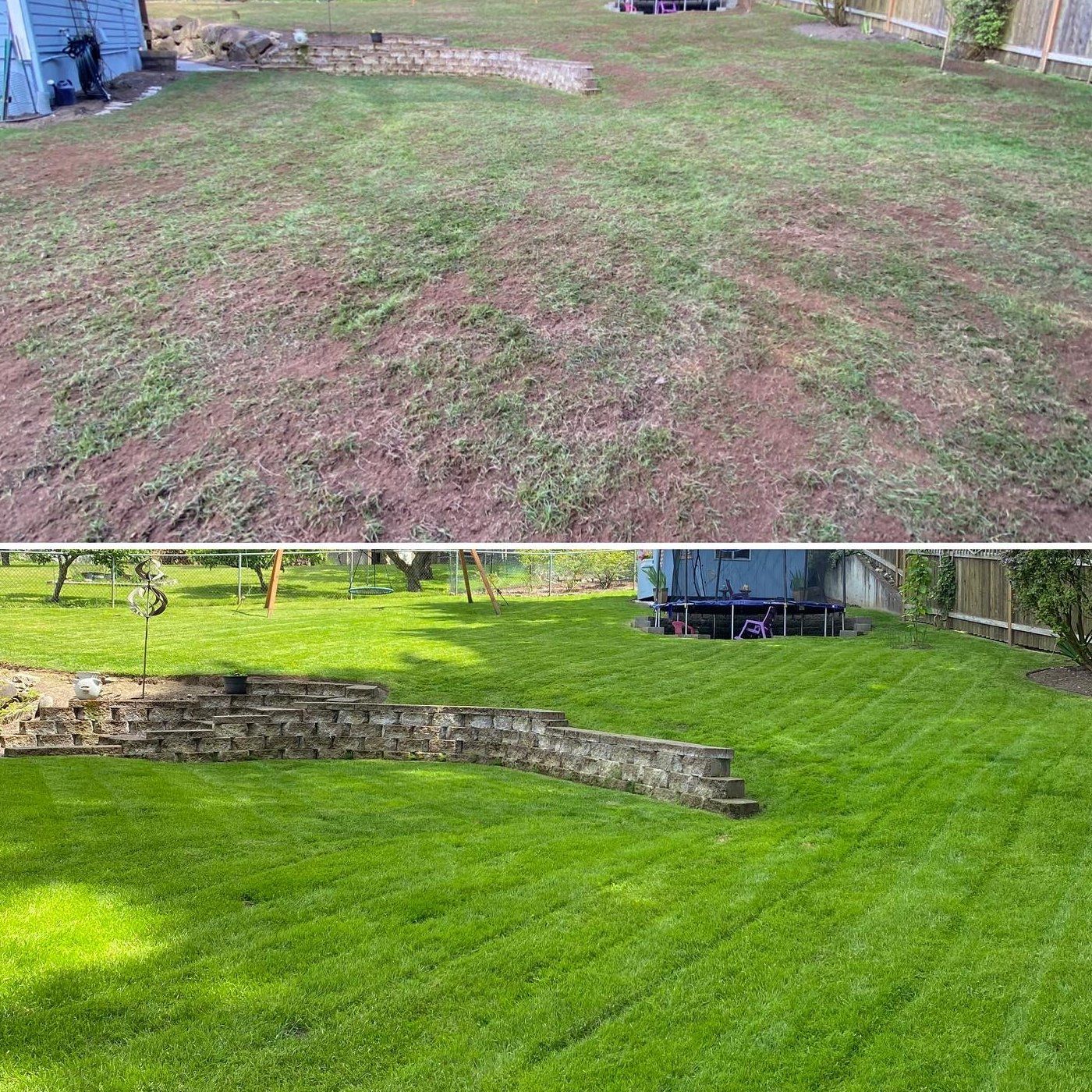 A before and after picture of a lush green lawn.