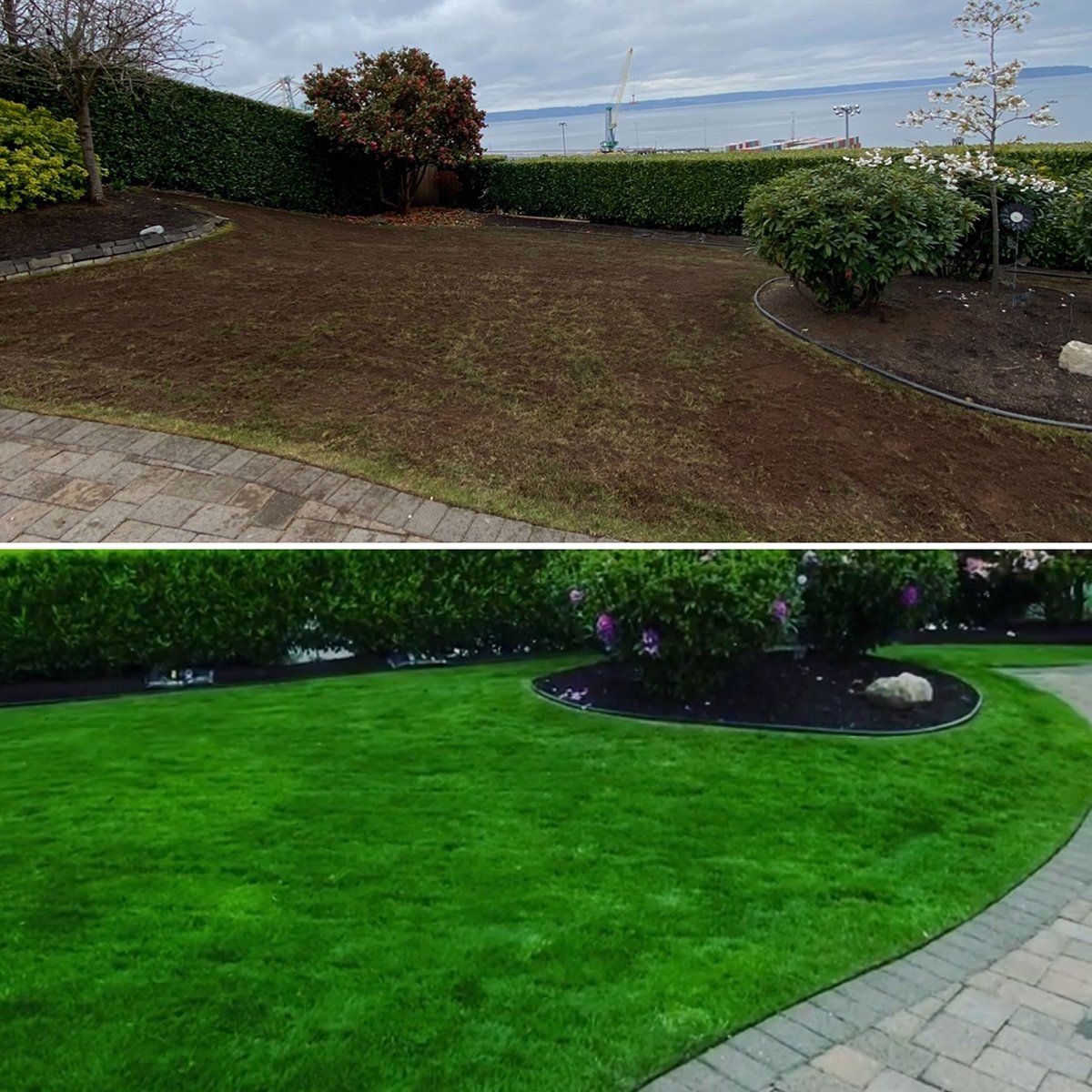 A before and after picture of a lush green lawn.