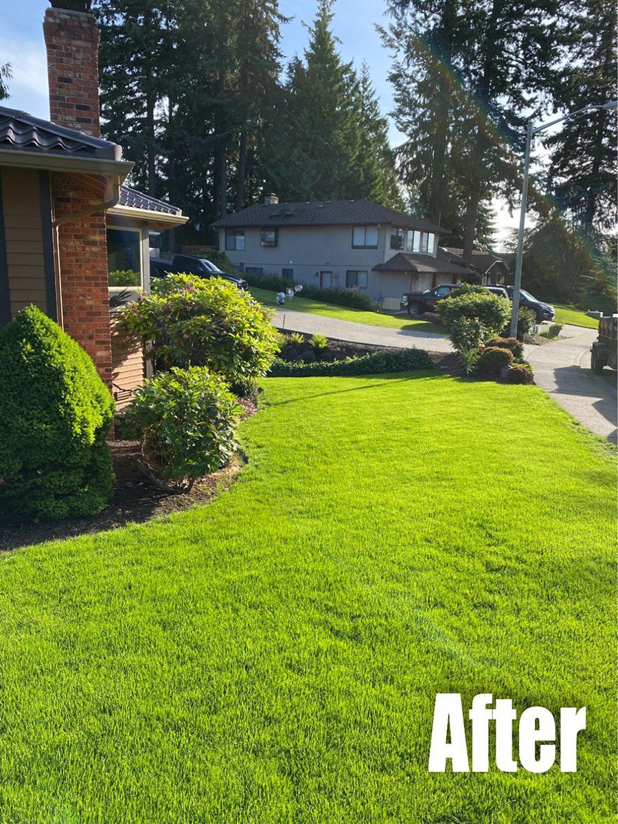 A picture of a lush green lawn in front of a house.