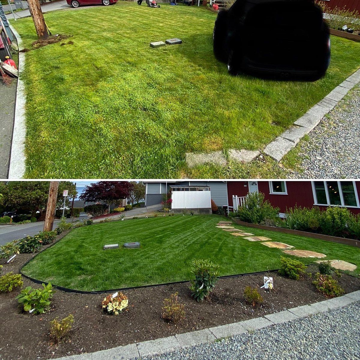 A before and after picture of a lush green lawn