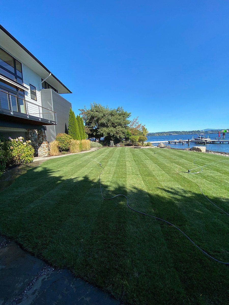 A large lawn with a house in the background and a body of water in the background.