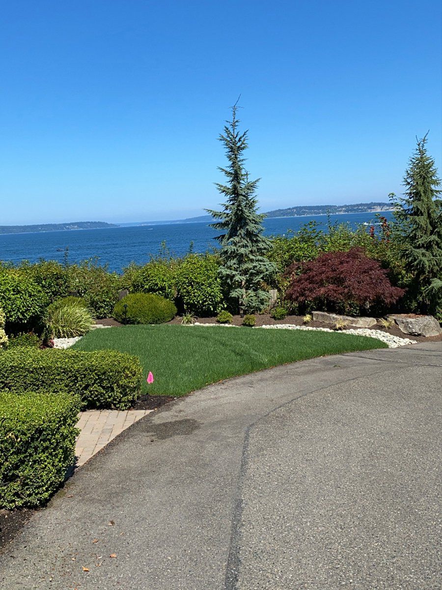 A driveway leading to a lush green lawn with a view of the ocean.