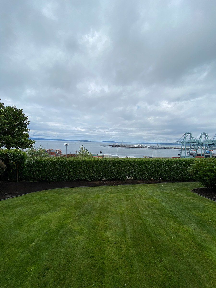 A lush green lawn with a view of the ocean on a cloudy day.