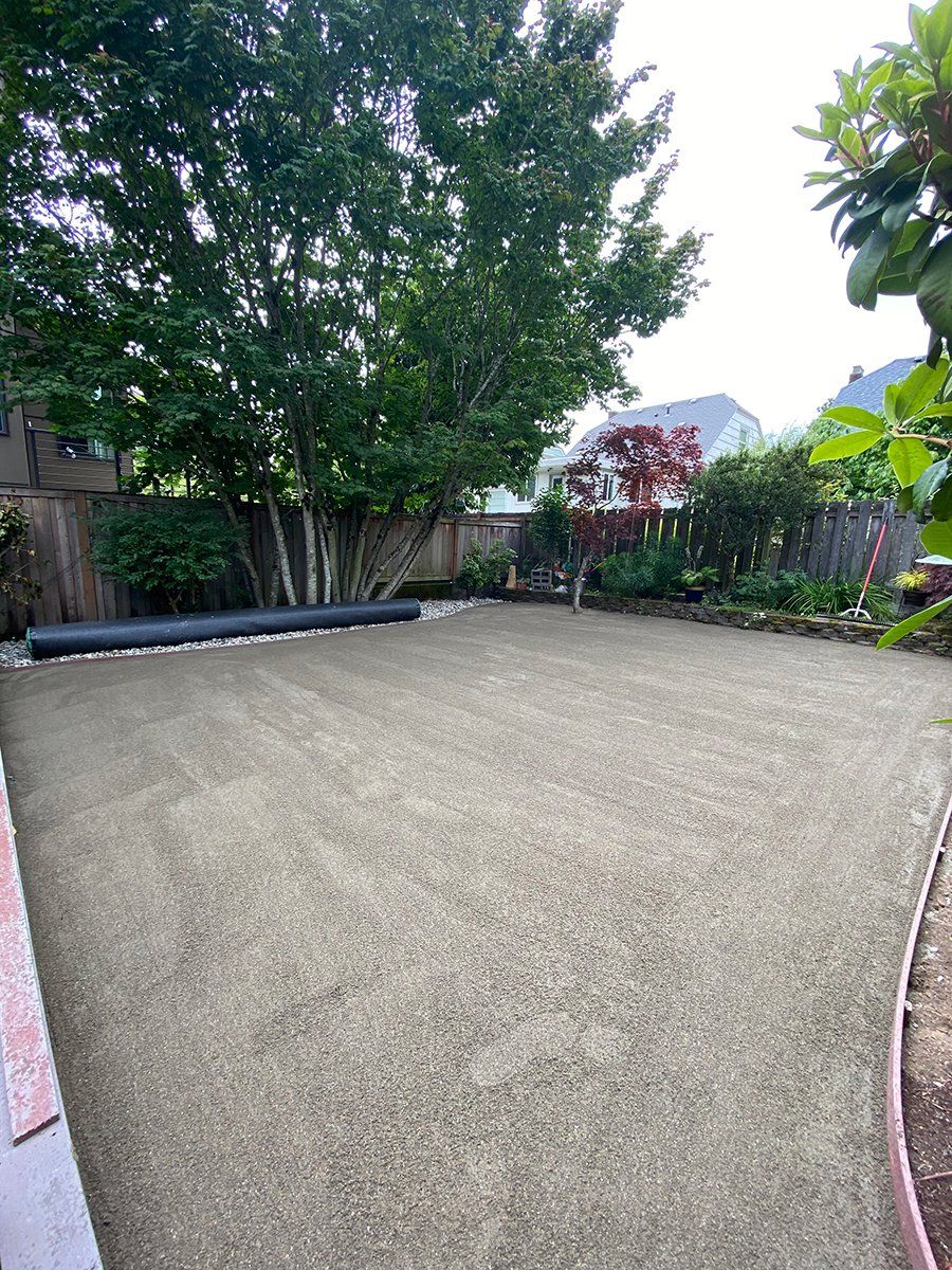 A backyard with a lot of gravel and trees.