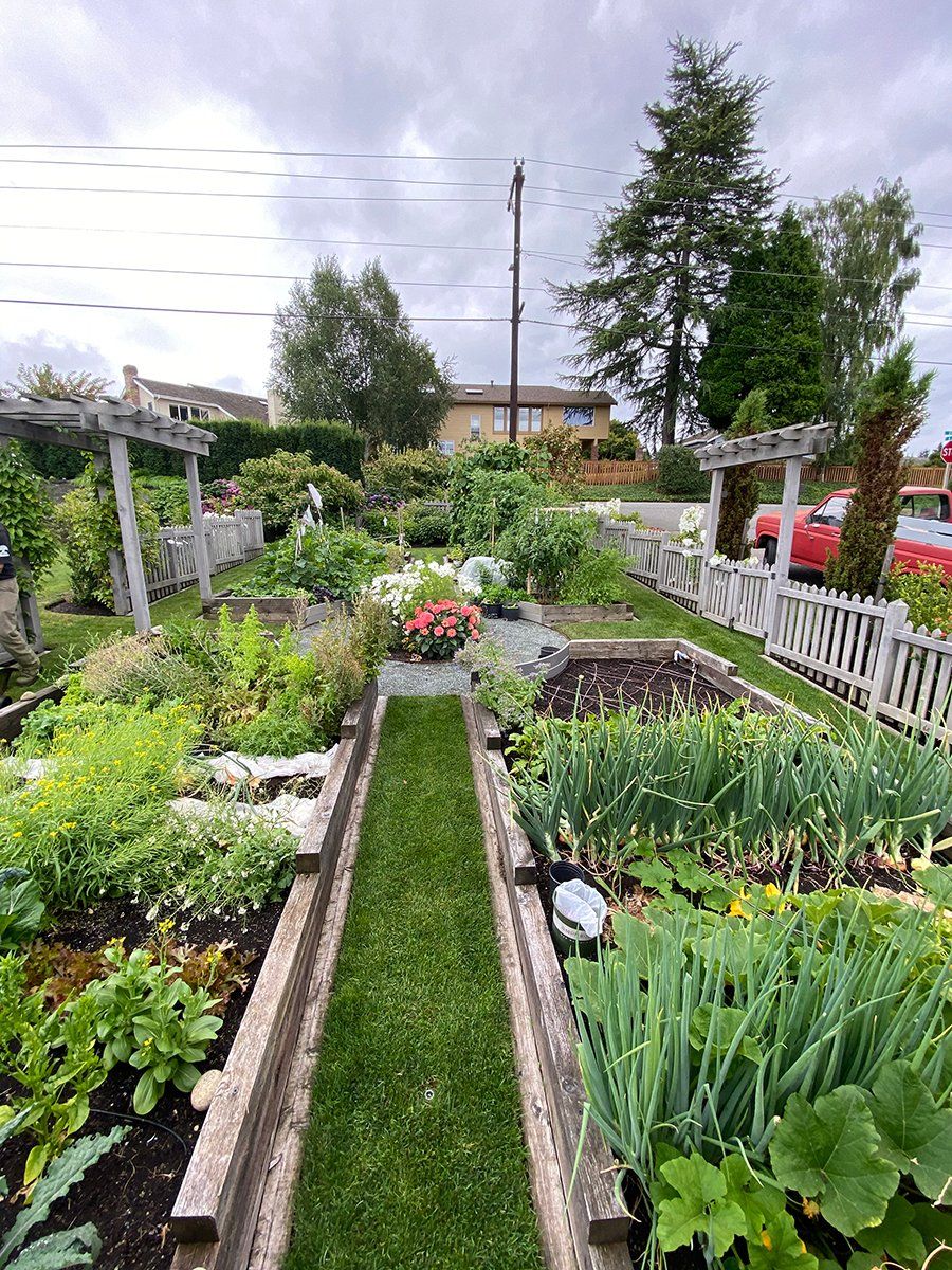 A garden filled with lots of vegetables and flowers on a cloudy day.