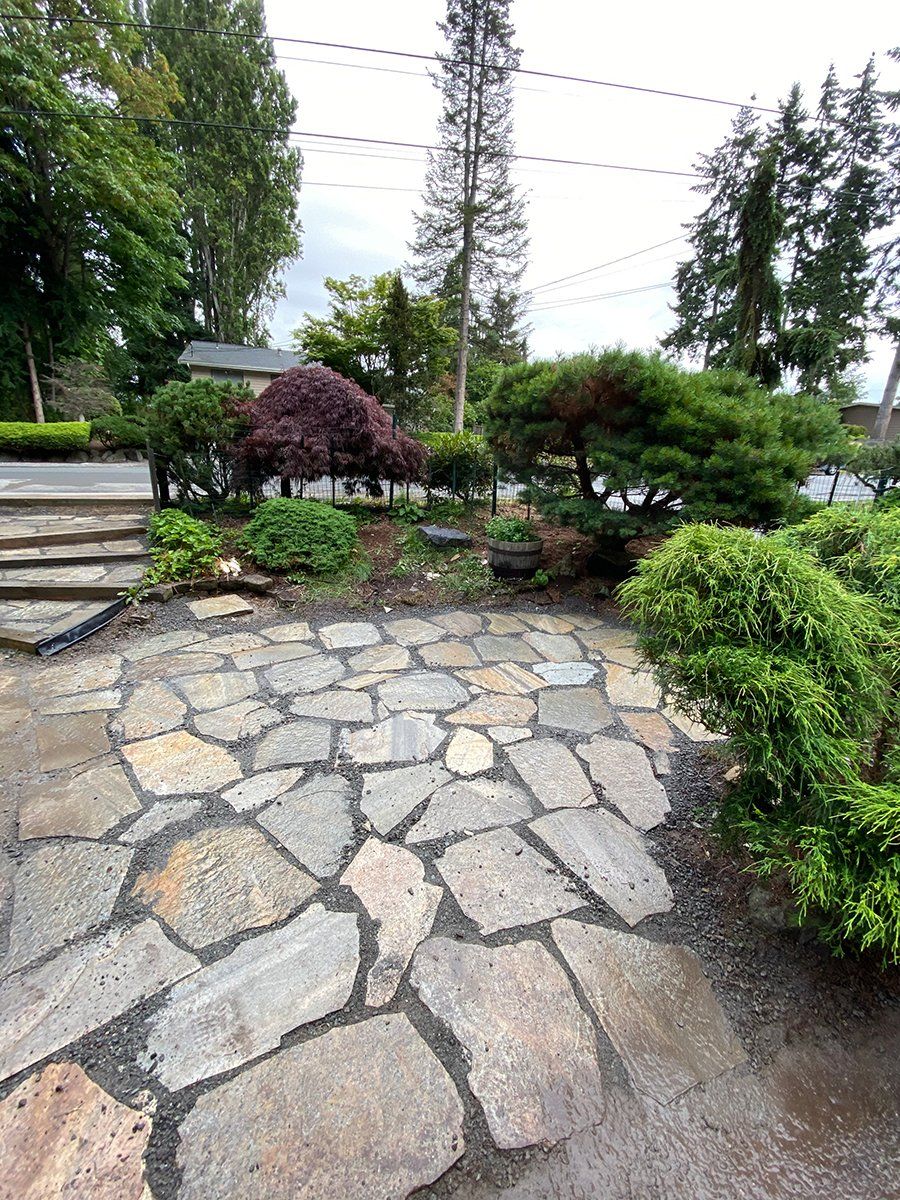 A stone walkway surrounded by trees and bushes in a garden.