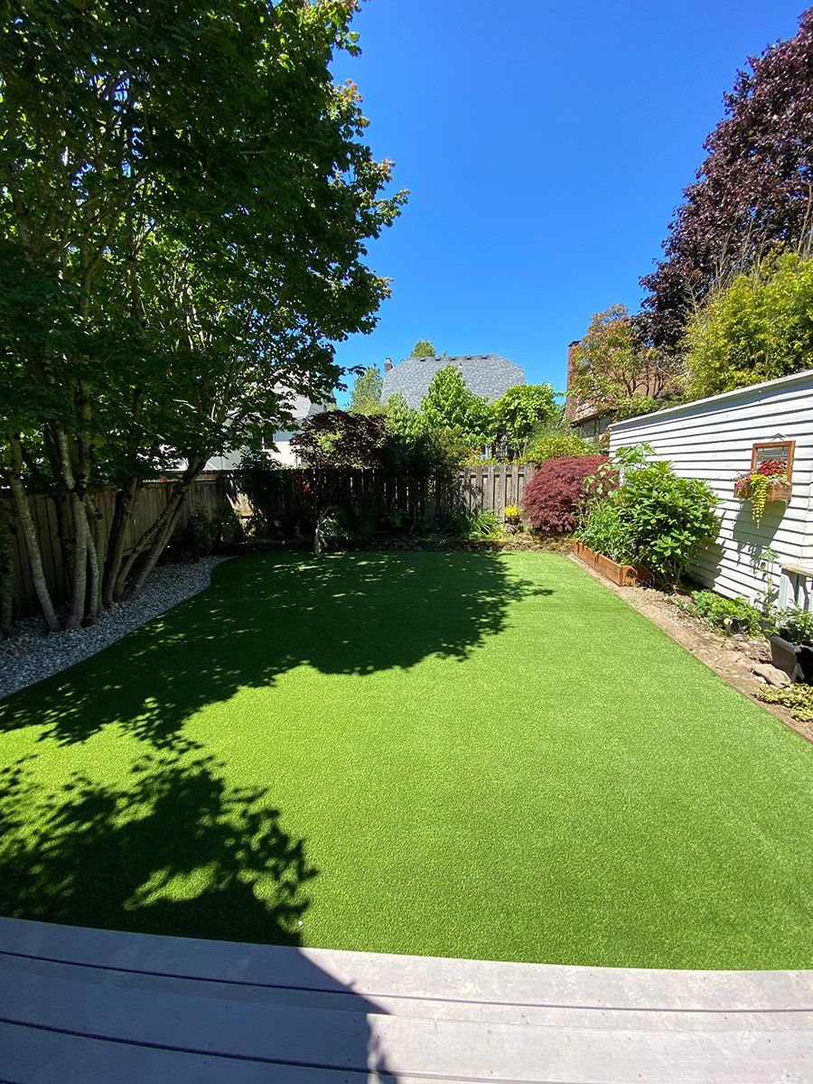 A backyard with a lush green lawn and trees on a sunny day.