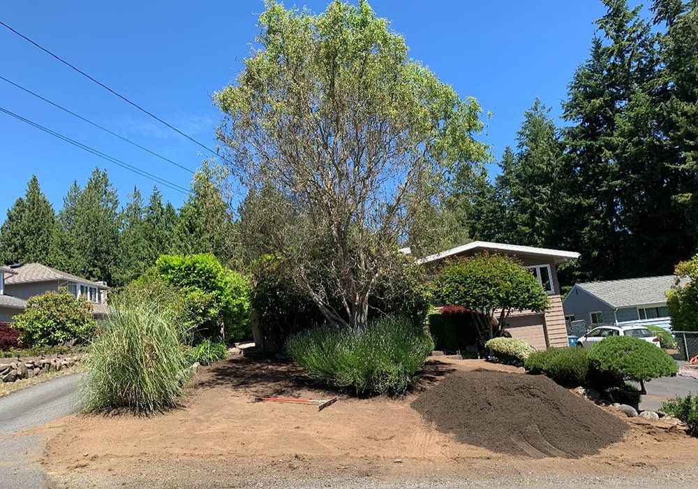 A house with a lot of trees in front of it