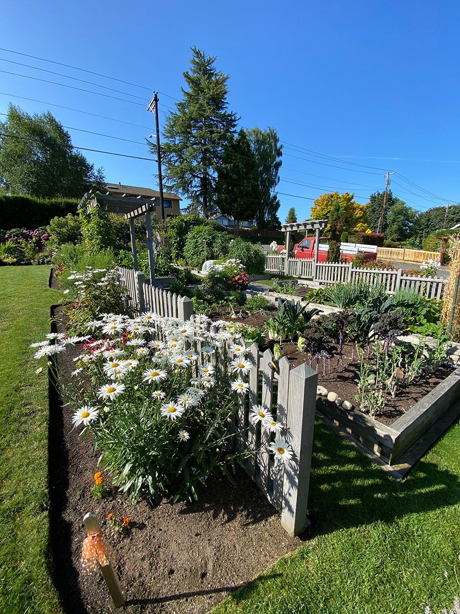 A garden filled with lots of flowers and vegetables.