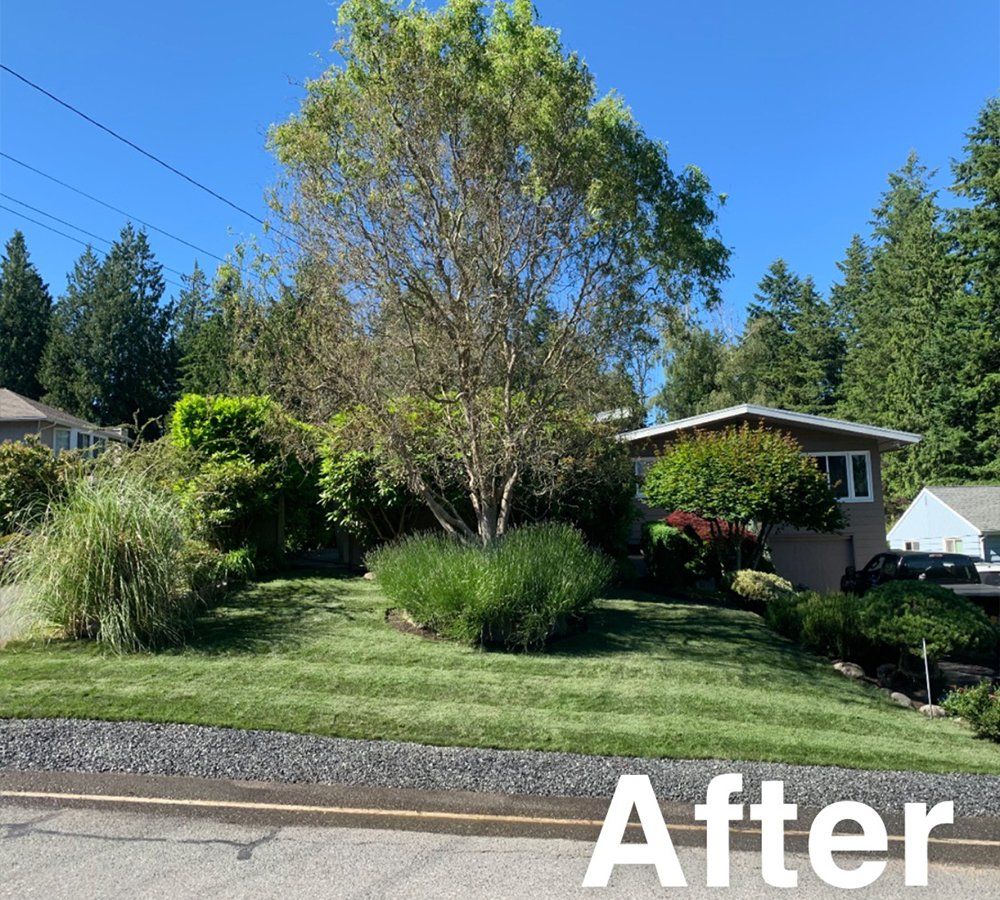 A picture of a lawn after being mowed.