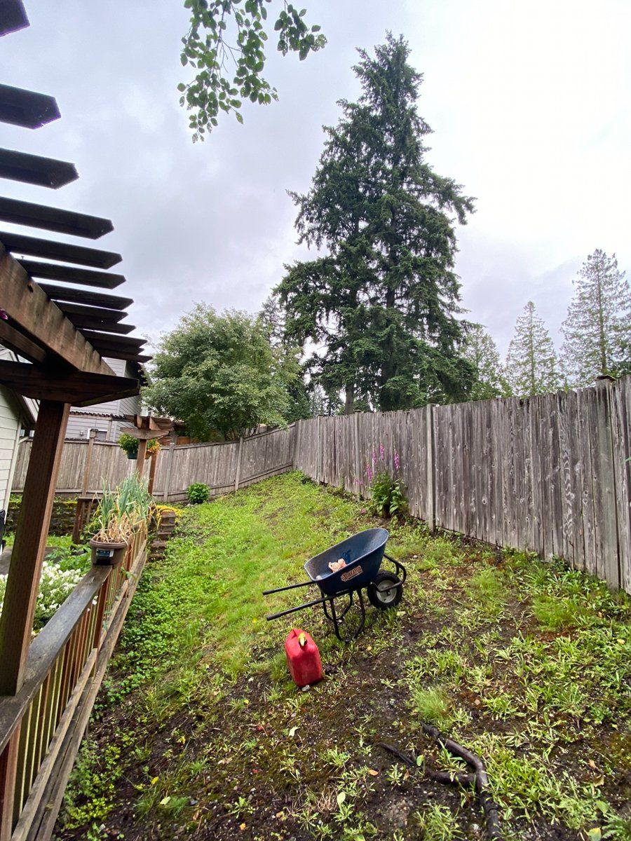 A backyard with a wooden fence and a wheelbarrow in the grass.