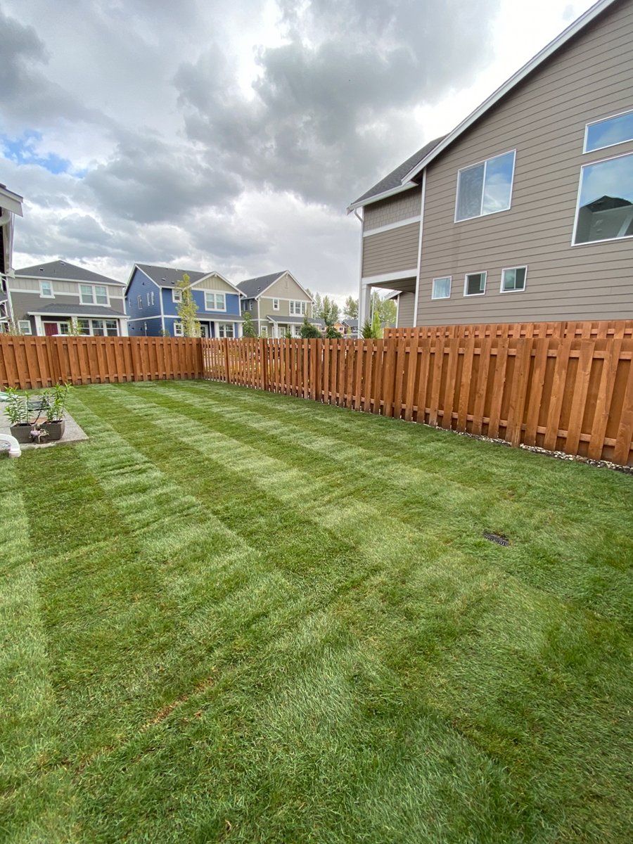 A backyard with a wooden fence and a lush green lawn.
