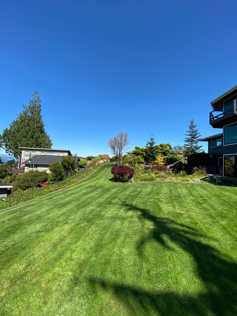 A large lush green lawn with a house in the background.