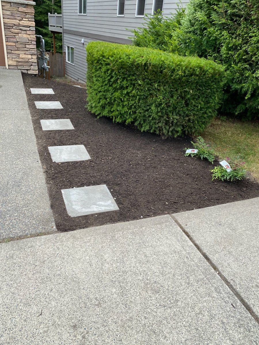 A concrete walkway with stepping stones leading to a house.