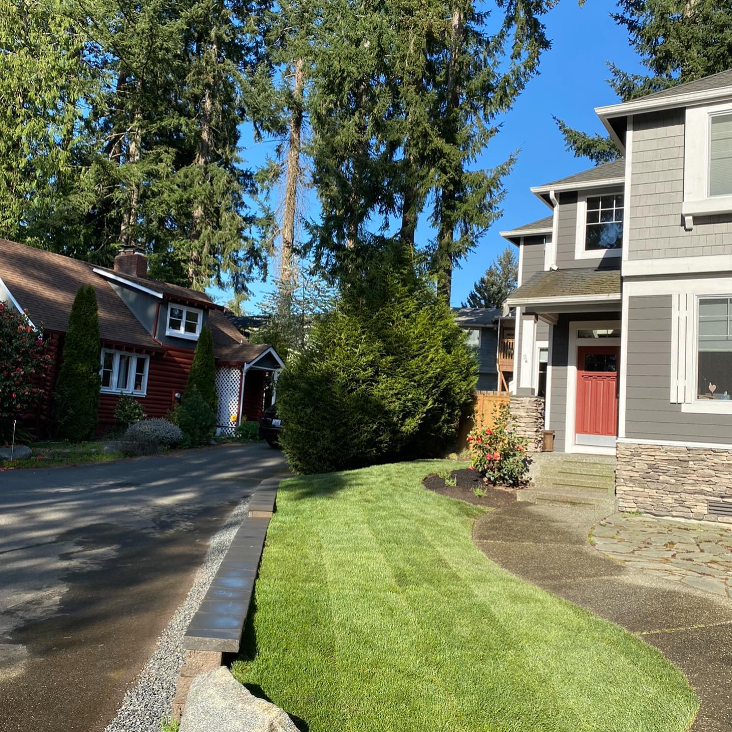A row of houses on a sunny day with trees in the background
