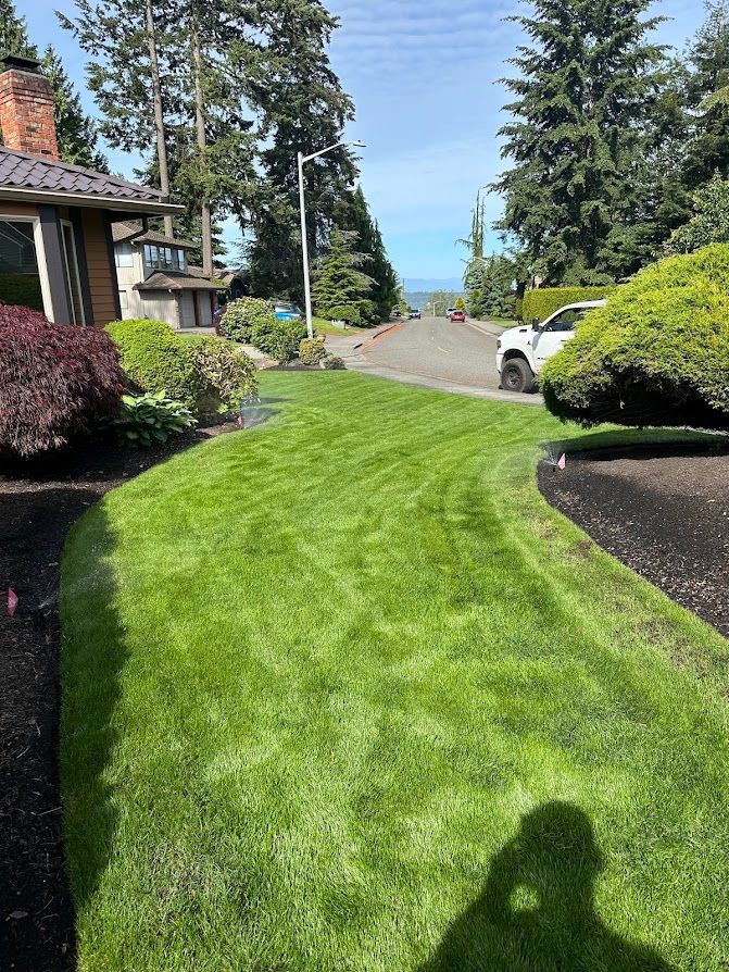 A shadow of a person is cast on a lush green lawn in front of a house.