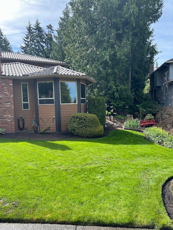 A house with a lush green lawn in front of it.