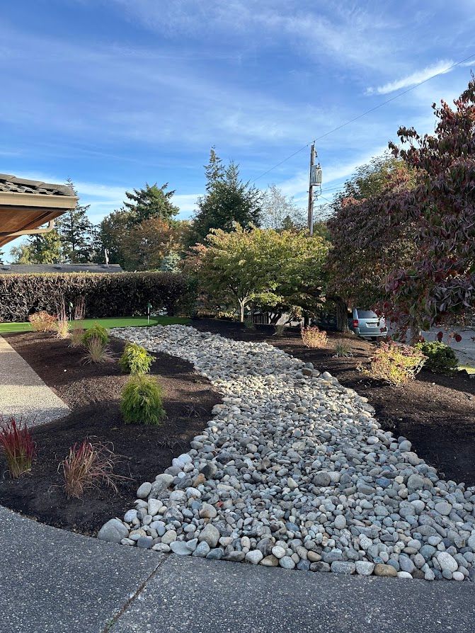 A path lined with rocks leading to a house.