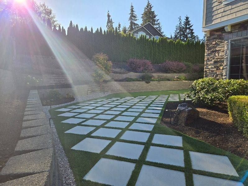 The sun is shining through the trees in the backyard