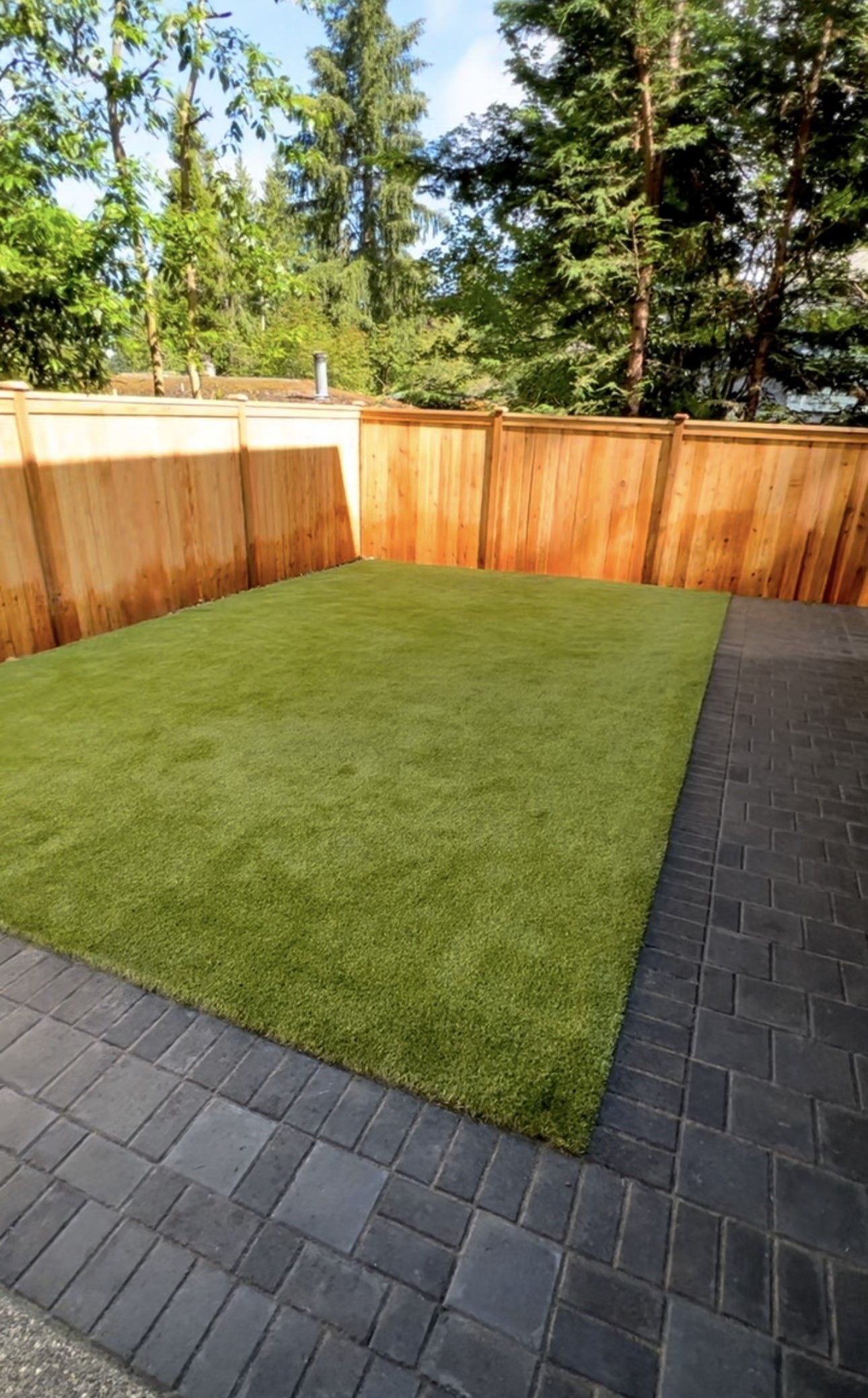 A backyard with a wooden fence and a lush green lawn.