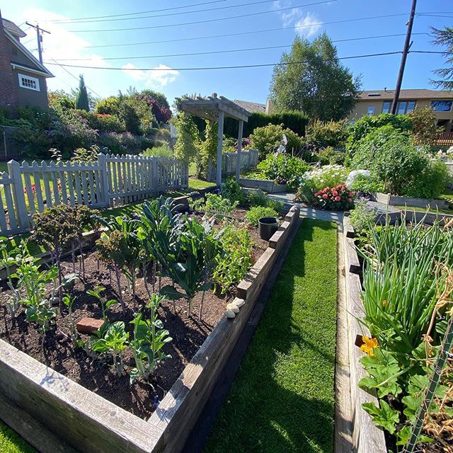 Residential landscaping work