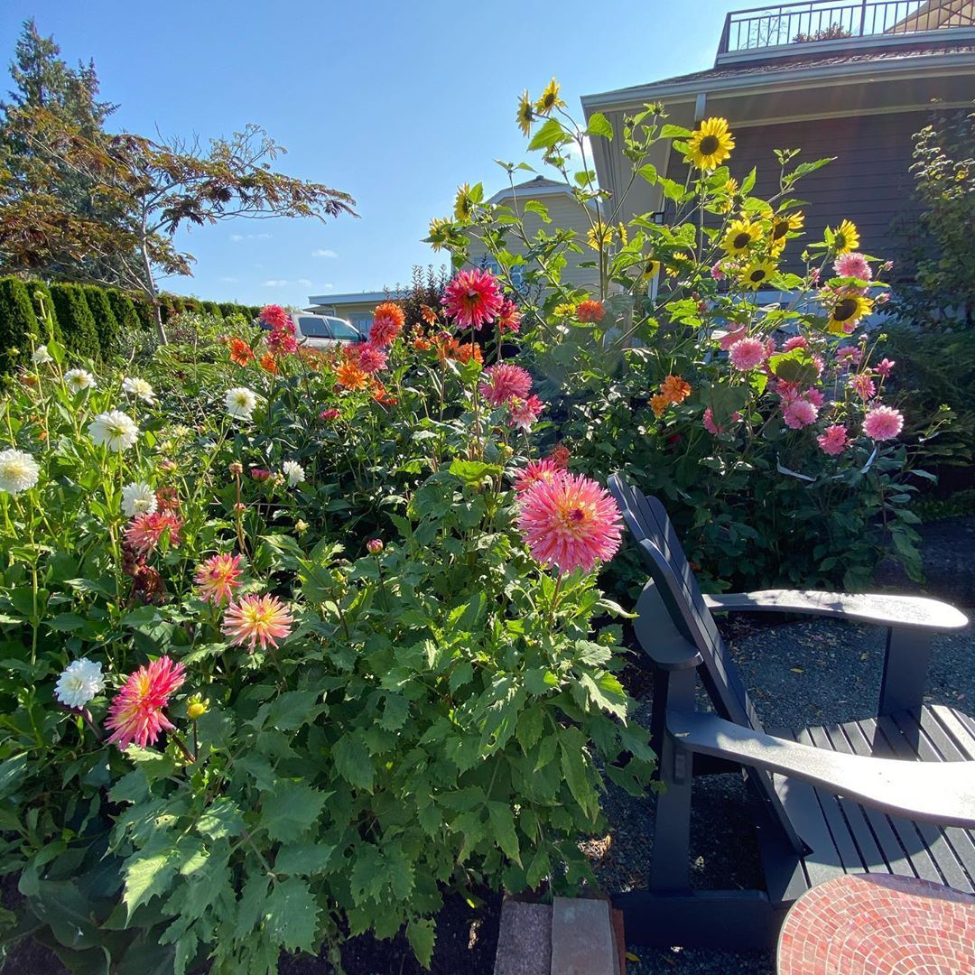 Residential landscaping work