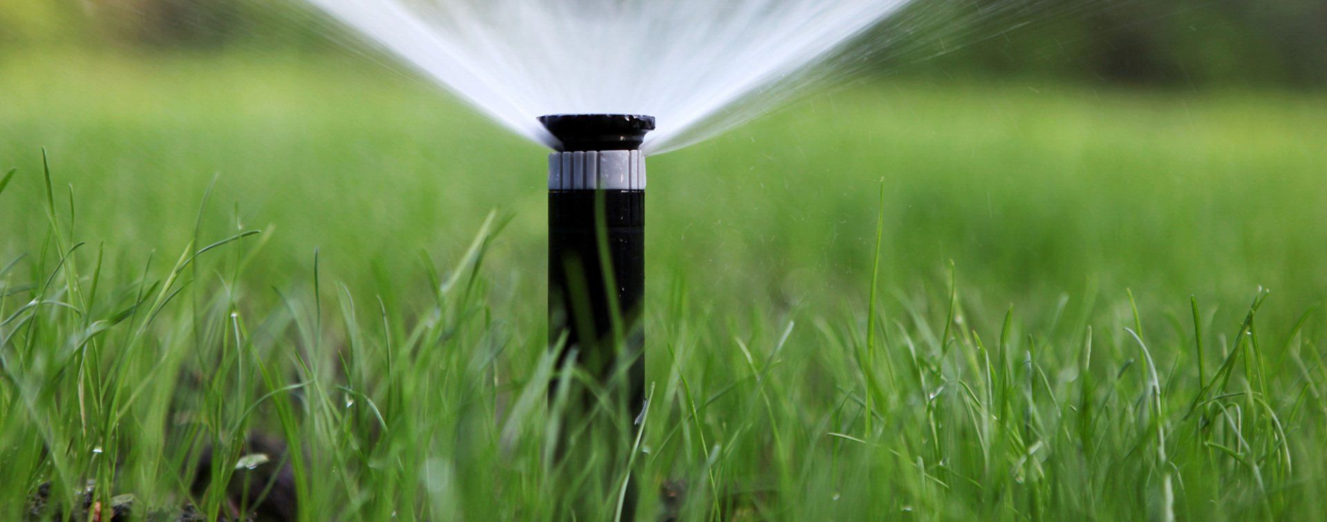 Lawn sprinkler system