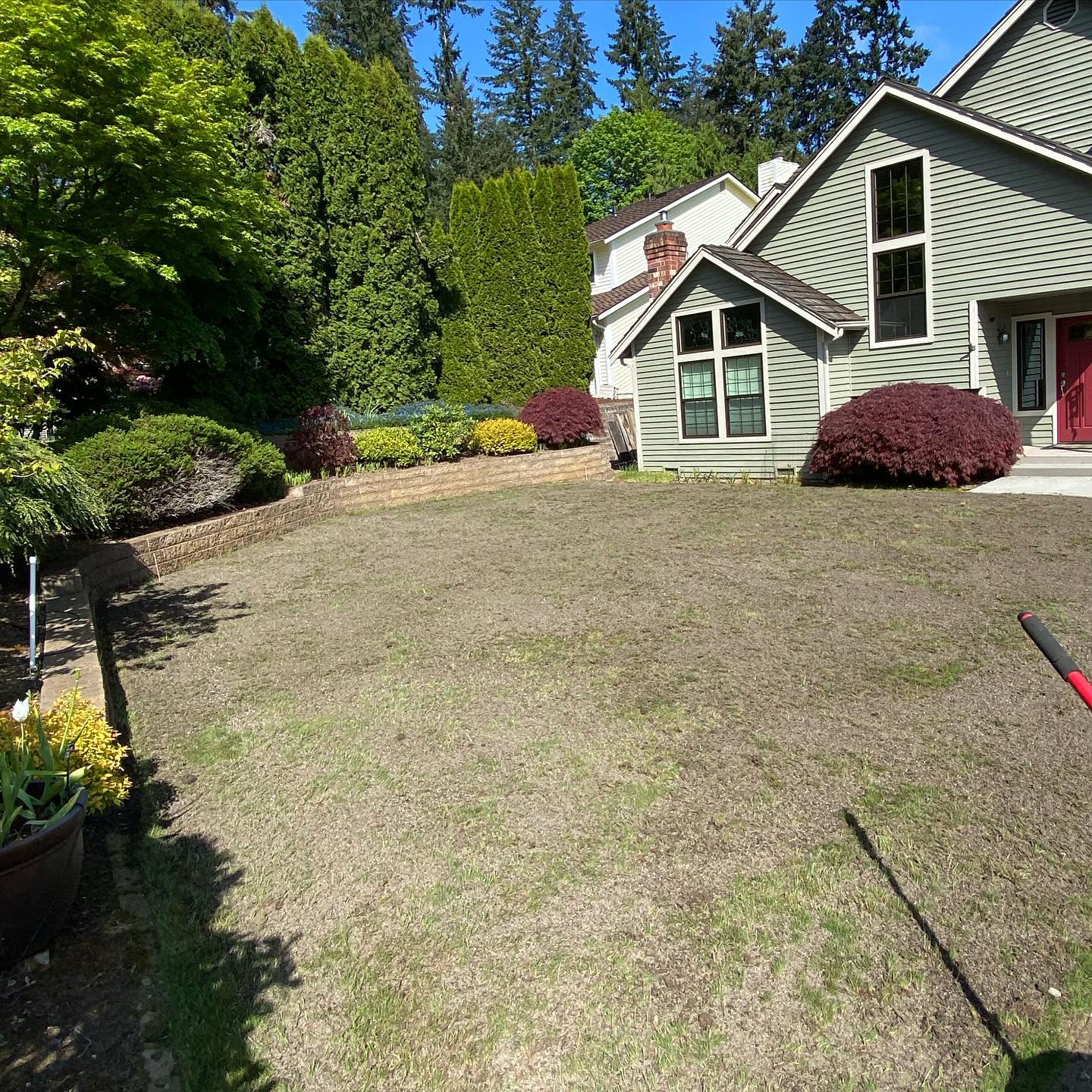 A lawn with a rake in front of a house.