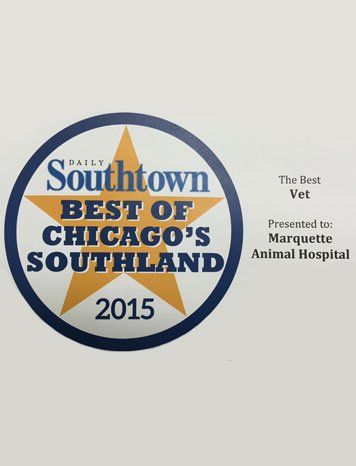 Best of Chicago's Southland