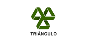 Triangulo logo