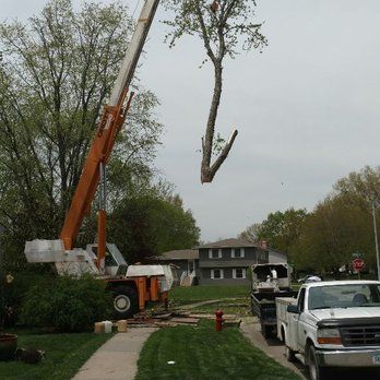 Crane removing a tree branch in a residential area; a truck and house are in the background.