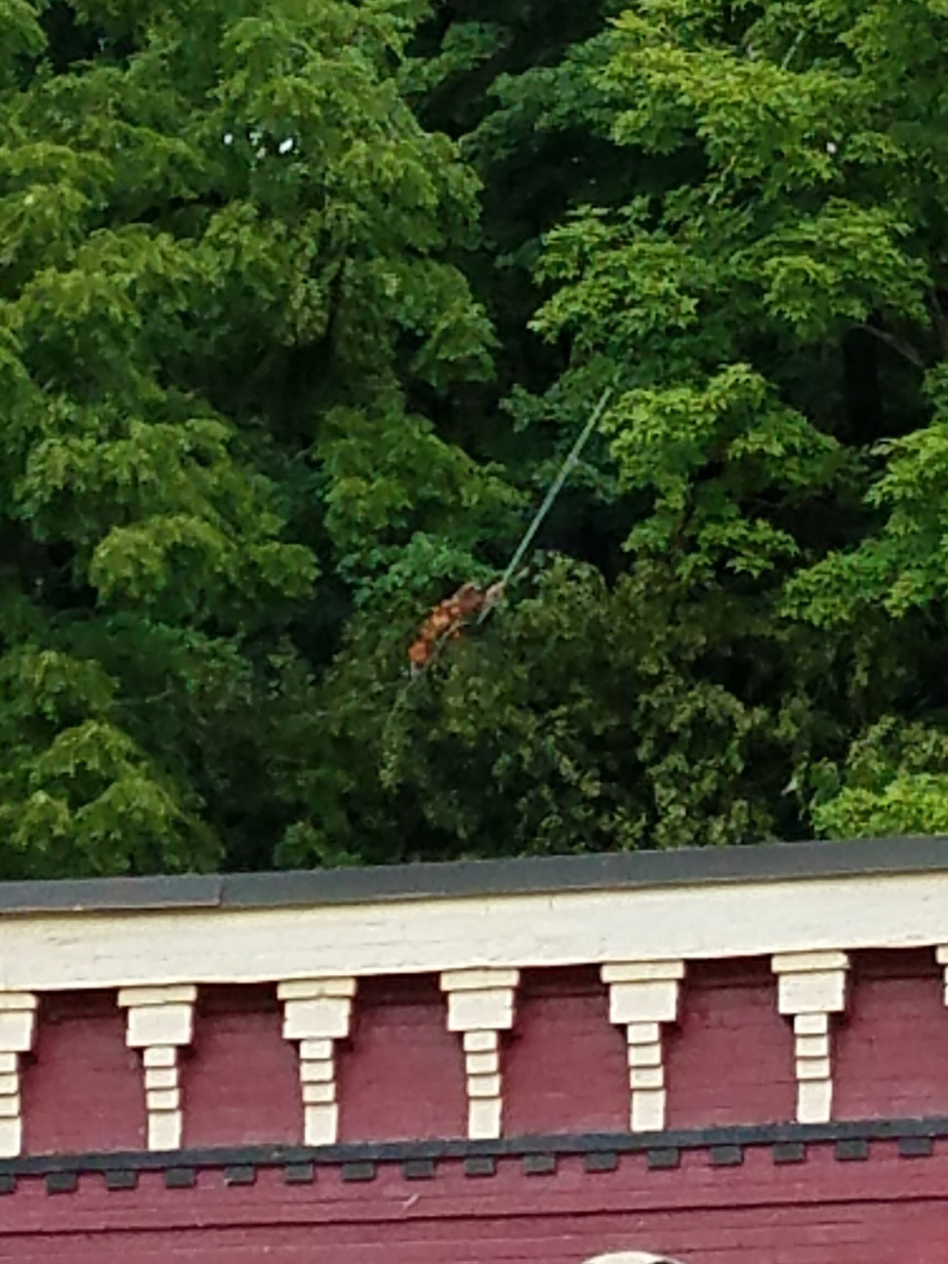 Red brick building with white trim, trees in background, pole in trees.