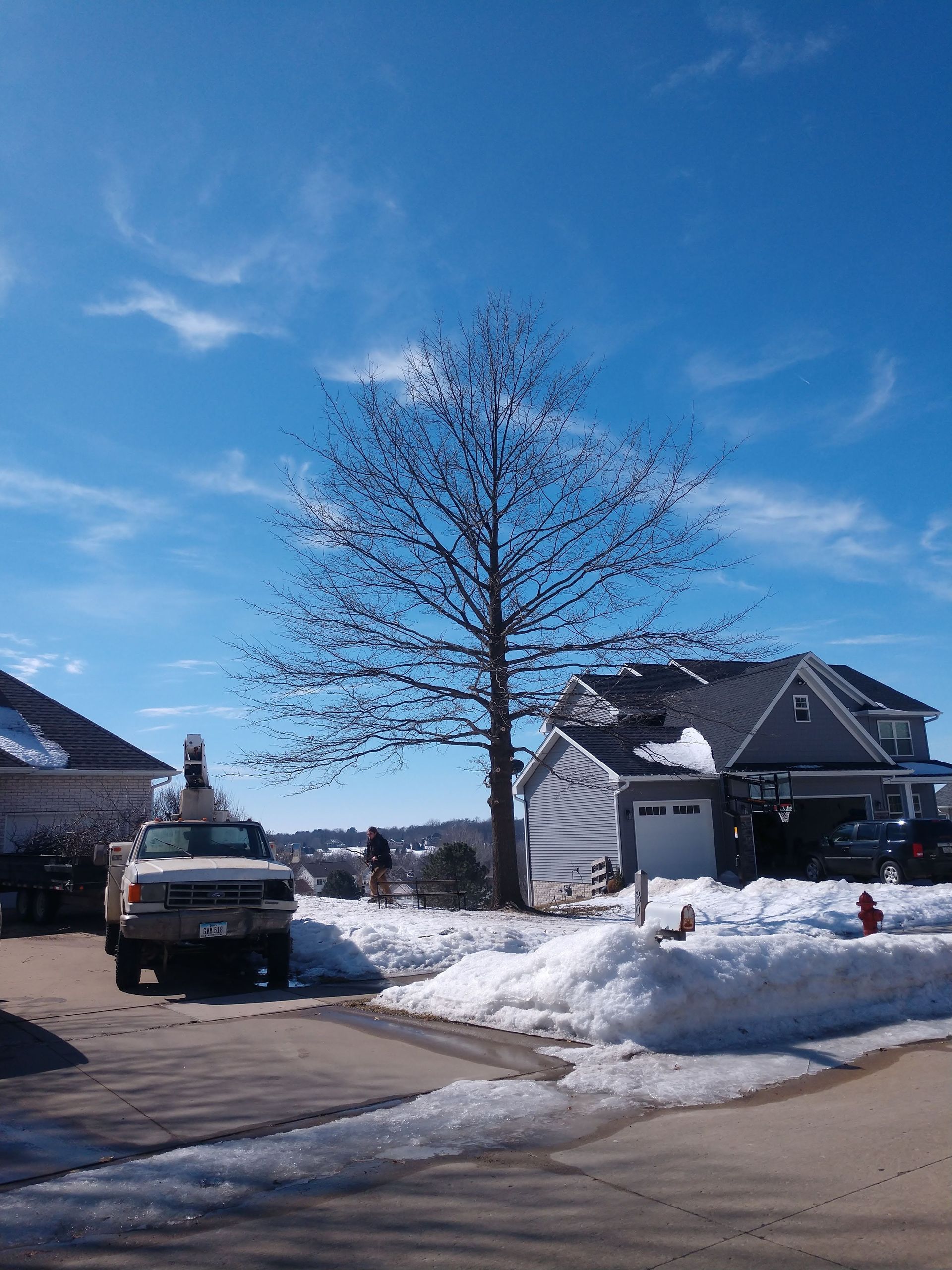 Snowy residential street with a bare tree, houses, and a truck under a blue sky.