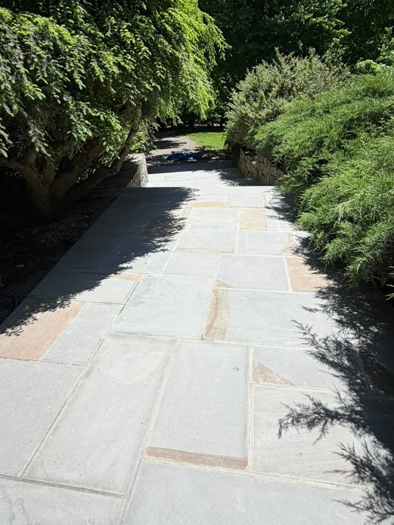 Stone garden path bordered by dense green shrubs and trees in bright sunlight