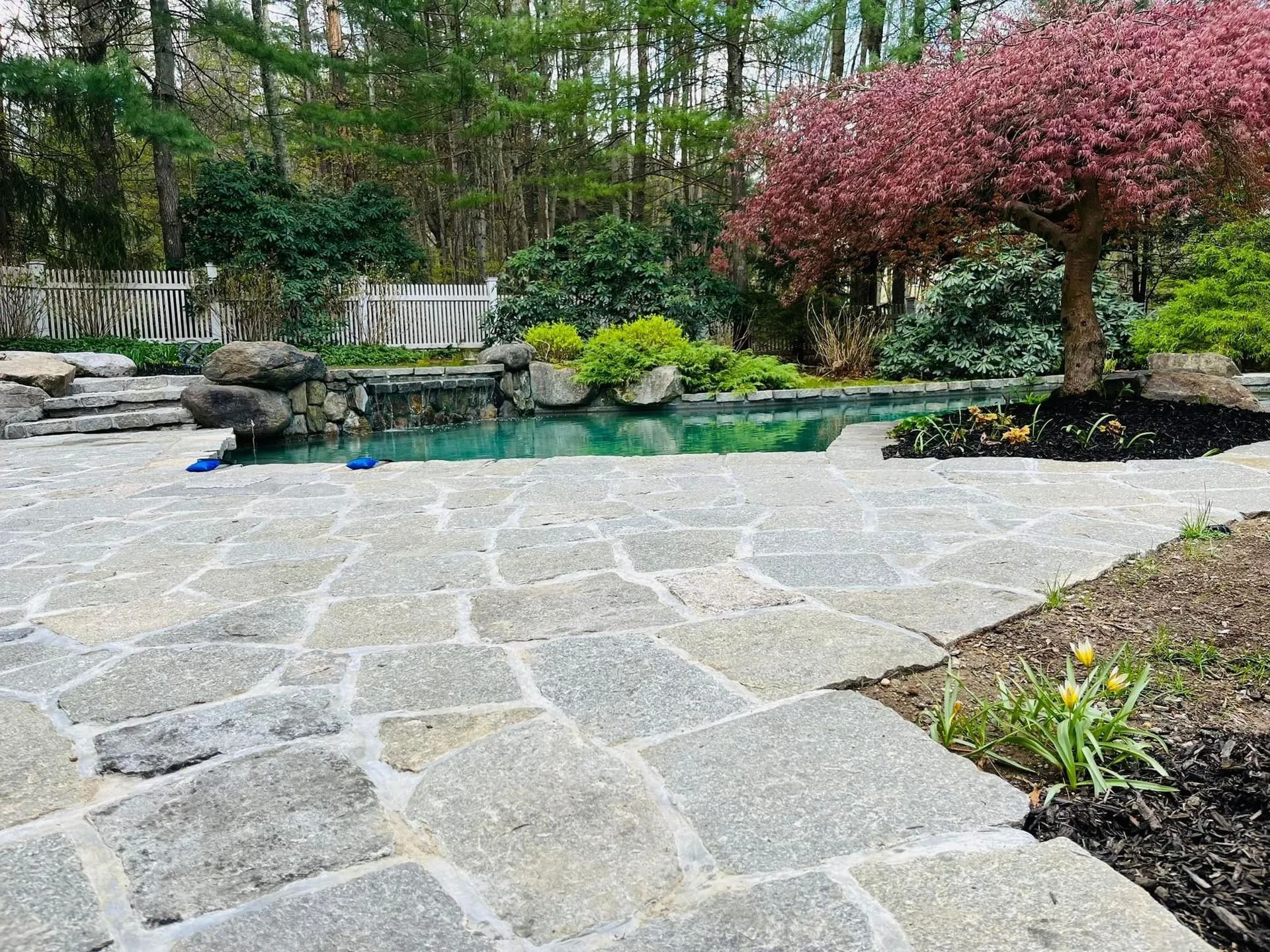 Flagstone patio leads to a pool surrounded by greenery and a blossoming pink tree.
