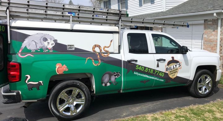 Green and white pest control truck with cartoon animals, ladder, and business logo.