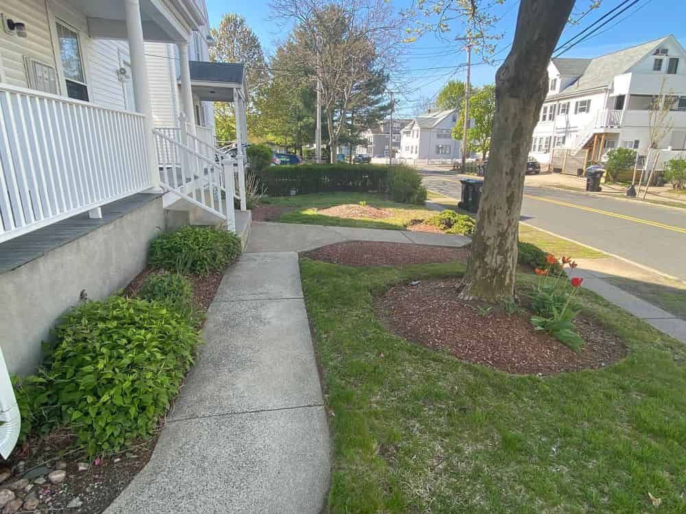 A sidewalk leading to a house with a tree in the middle of the yard.