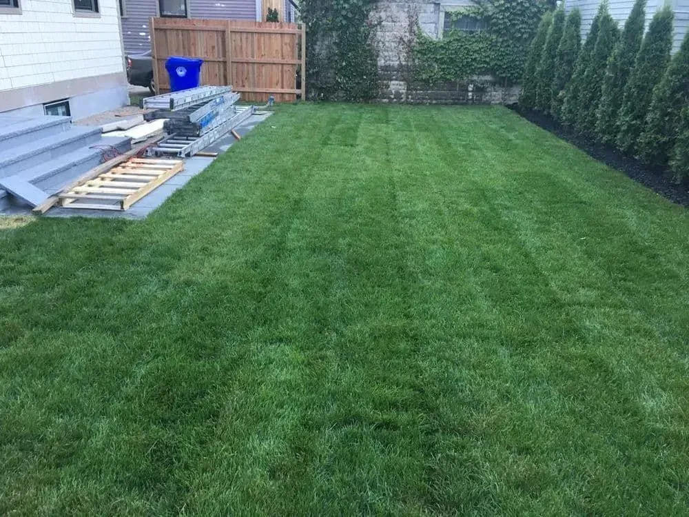 A backyard with a lush green lawn and a wooden fence.