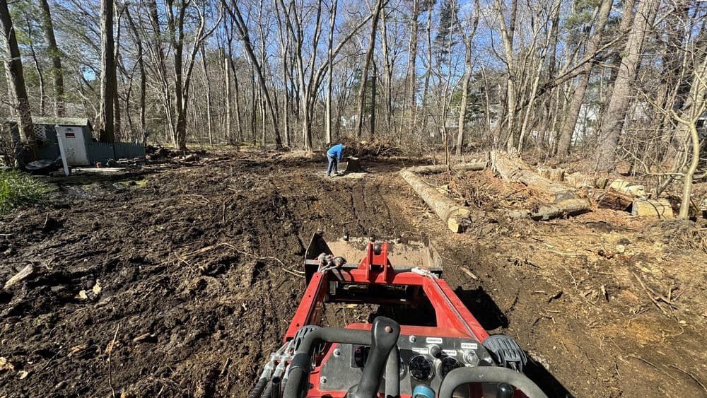 A red vehicle is driving down a dirt road in the woods.