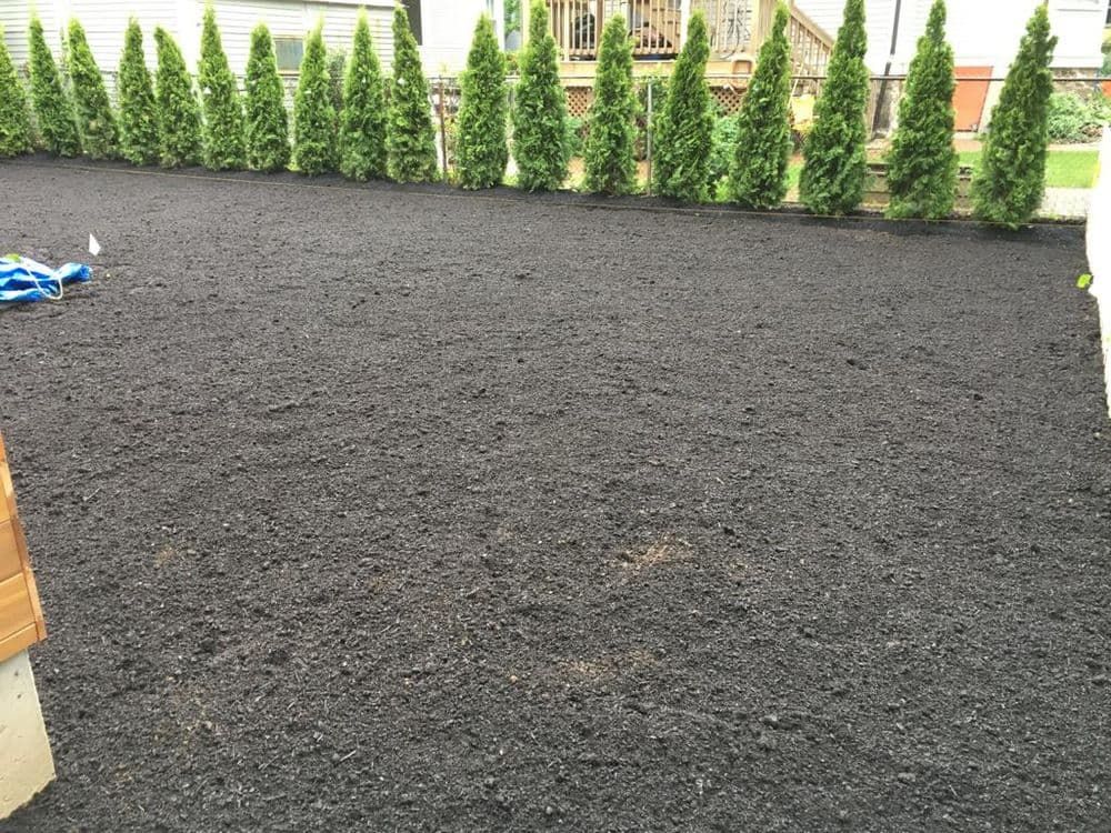 A lawn with a lot of black mulch and trees in the background.