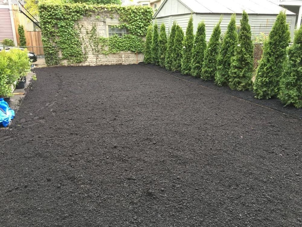There is a lot of black mulch in the backyard.