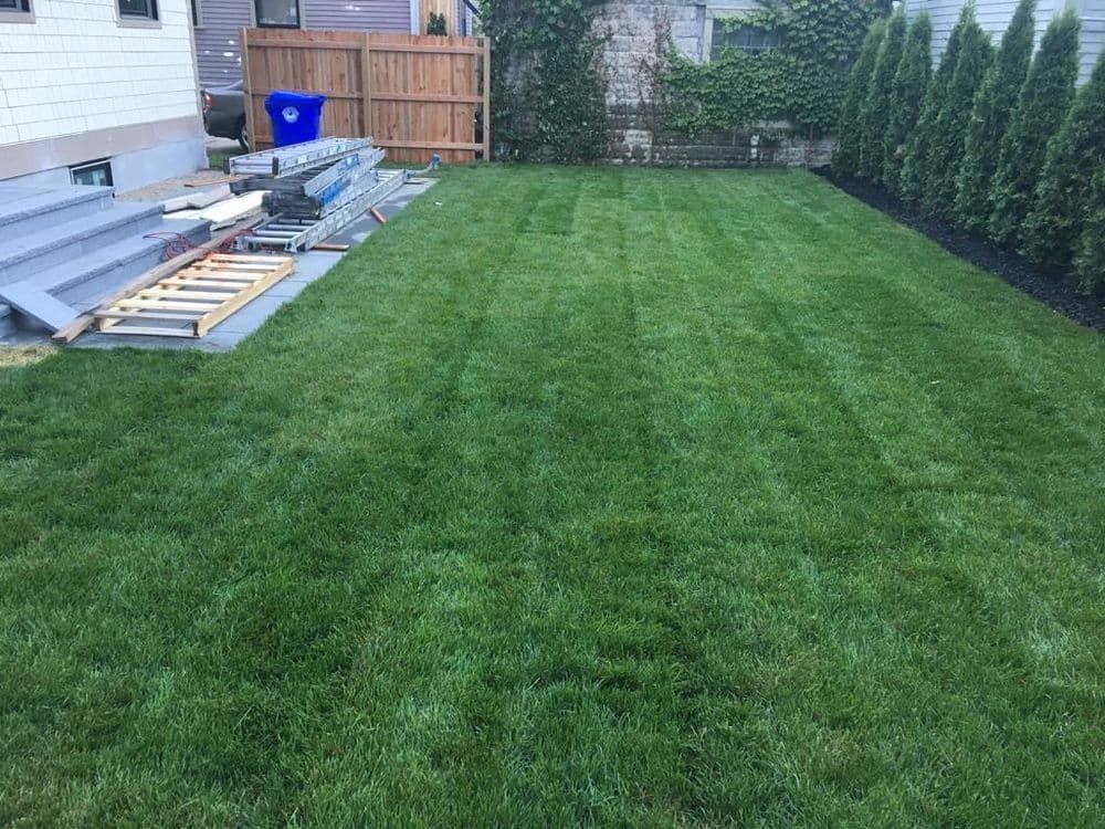 A backyard with a lush green lawn and a wooden fence.