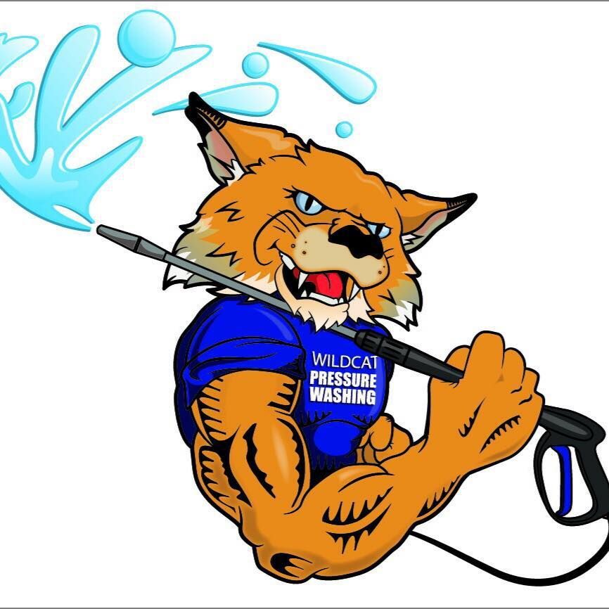 Wildcat Carpet Cleaning & Pressure Washing - Logo
