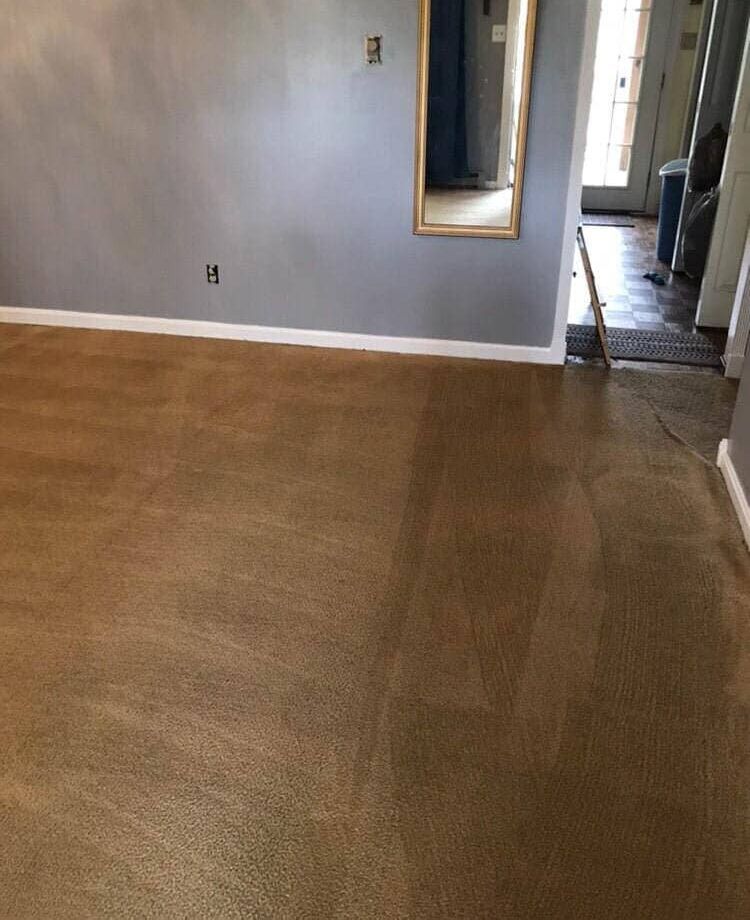 A room with a carpet - after