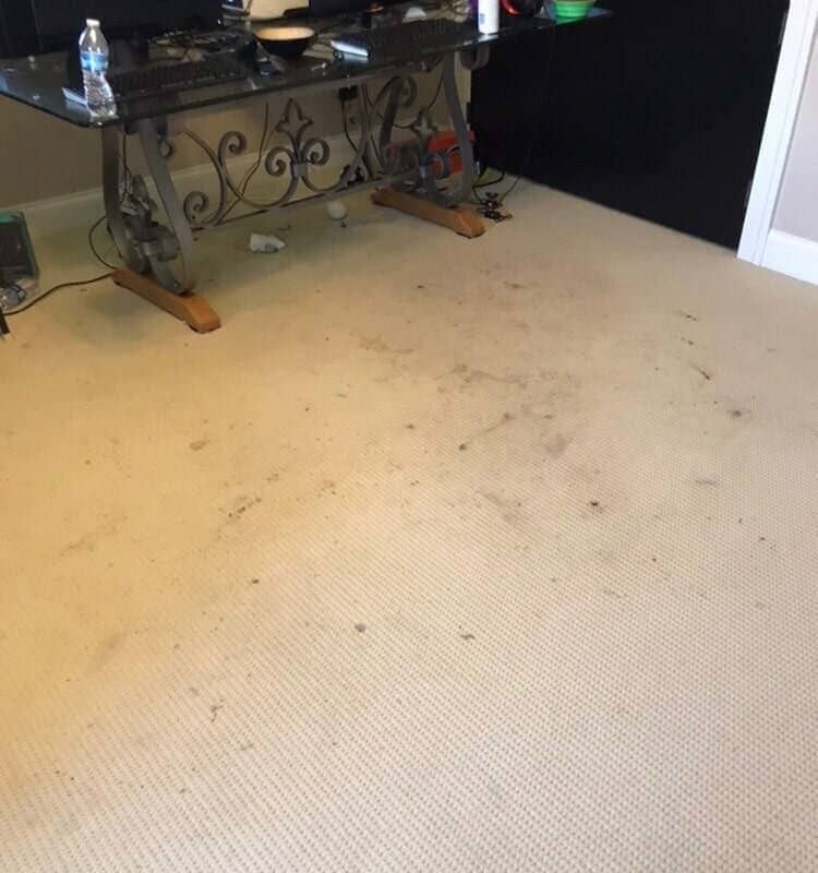 A carpeted floor with a desk in the background - before