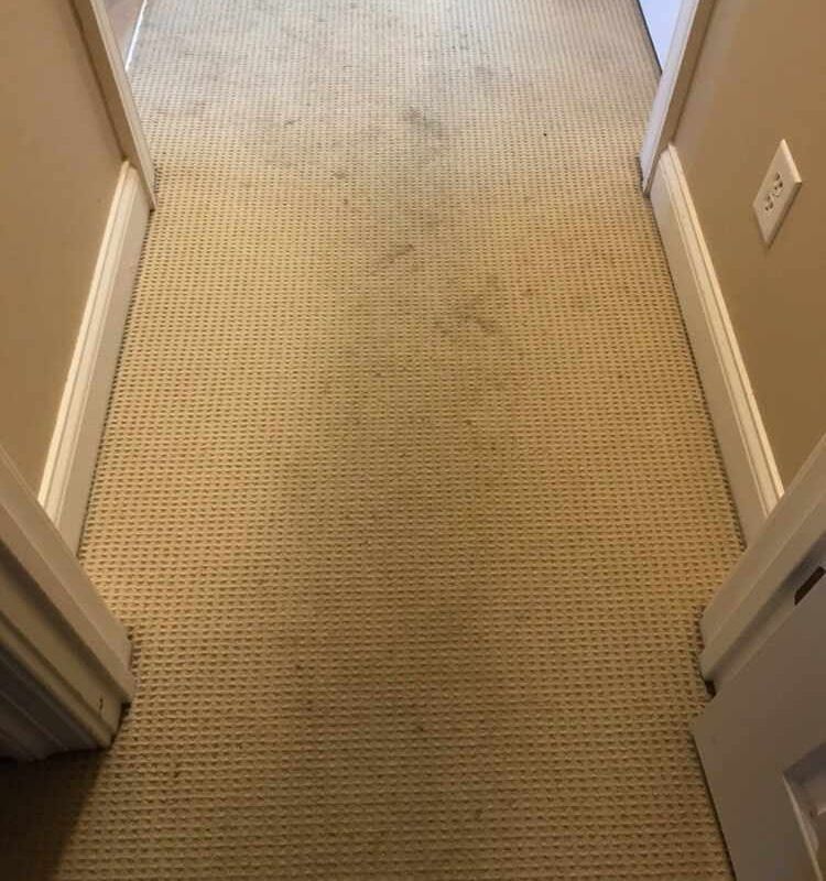 A hallway with a carpeted floor and white trim - before