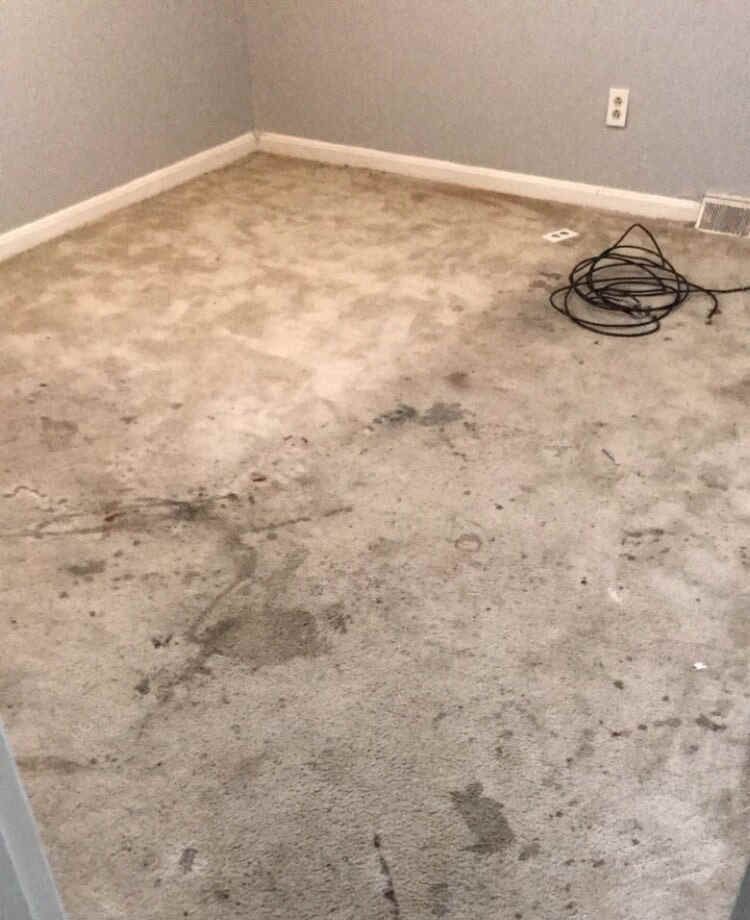 A room with a carpet - before